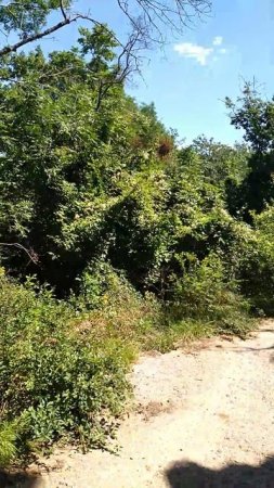 В пещерке в Топловском монастыре жила монахиня в Крыму