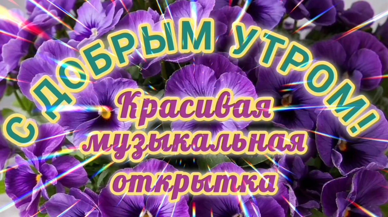 С ЧУДЕСНЫМ ДОБРЫМ УТРОМ!