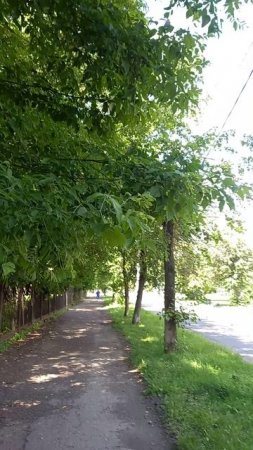 Вот и лето пришло #путешествия #тревелблог