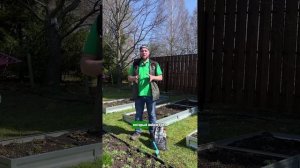 Сорняки и как с ними бороться: портулак, мокрица, одуванчики #сад #дача #garden #огород #shorts