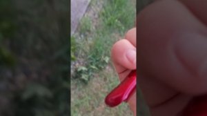 20250702_183524.mp4