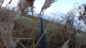 Охота на УТКУ и гуся в поле с ЧУЧЕЛАМИ и МАНКАМИ.