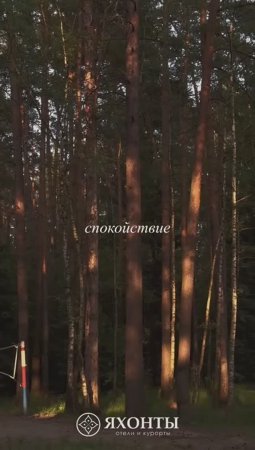 Яхонты Ногинск