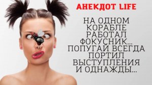АНЕКДОТ про капитанского попугая  VS АНЕКДОТ про хитропопую  бабулю