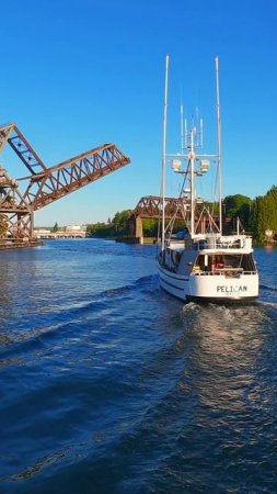 🚢 Pelican – одно из самых старых ярусных судов, отправляется на север в Аляску через залив Шилшол