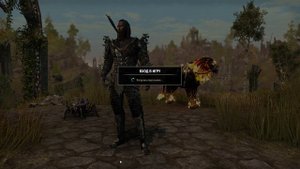 Тайны Тамриэля - загадки Elder Scrolls Online