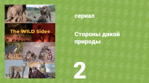 Стороны дикой природы 2 серия «Потоп и враги» (документальный сериал, 2023)