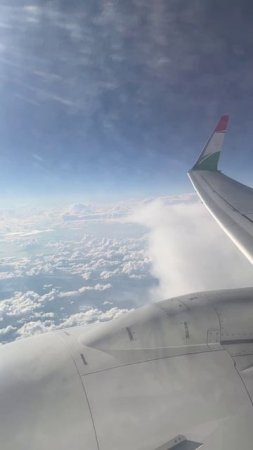 У каждого из нас есть два крыла…