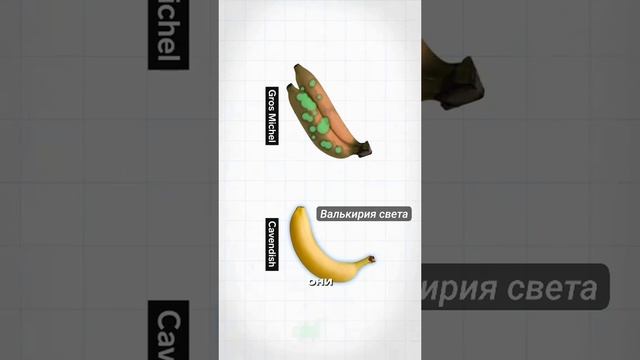 VID_20250701_231939_769.mp4