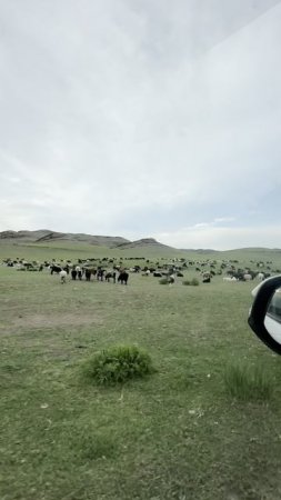 02-07-2025 Наша любимая Хакасия