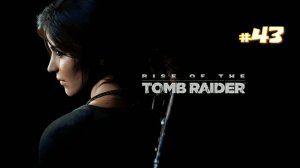 Прохождение Rise of the Tomb Raider #43 - В погоне за "Троицей"