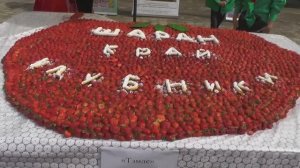 Шаранская ягода