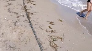 Анапа сегодня 2 июля 2025. Центральный пляж в Анапе. Море и погода в Анапе сейчас. Сезон 2025