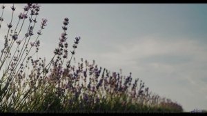 Лучшая музыка для лучших пейзажей планеты! - Come Hell Come Sunshine -- Tadz -- My Way, All Day, Eve