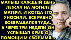 Малыш каждый день лежал на могиле матери, и когда его уносили, все равно возвращался туда. А через..