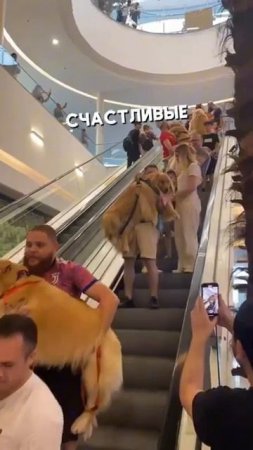 Клип @mem_archive