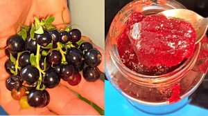 Идеальный, густой джем из чёрной смородины: без желатина и химии!