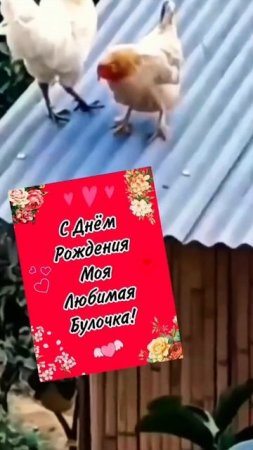 Не забудь отправить на др))