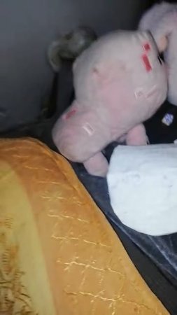 Я СПЛЮ В МАШИНЕ