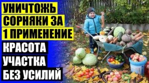 ГЕРБИЦИД КОНЦЕНТРАЦИЯ ОТЗЫВЫ ✔