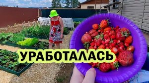 Похоже я переработала. Незапланированный выходной