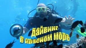 Дайвинг в Красном море