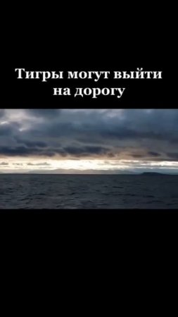 Люблю тебя , Владивосток