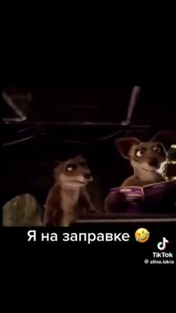 5.7 потому, что…