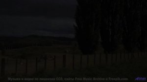 Что на самом деле происходит в этом лесу Это невероятно! - Pockets -- Derek Clegg -- Faces (re-relea