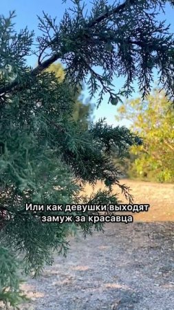 Не нужно притворяться