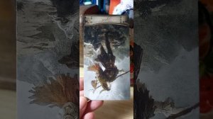 Что я чувствую и почему. Расклад таро.