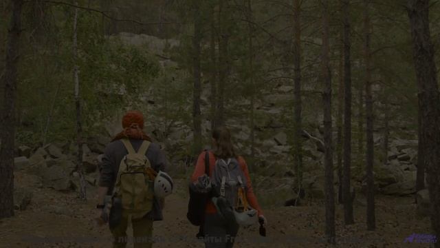 Ты захочешь собрать чемодан после просмотра! - Nocturnal -- HoliznaCC0 -- Horseless Headman ( Hallow