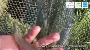 Рыбонасос Pescamotion 30 (art: pescamotion 6) перекачка креветки | Faivre