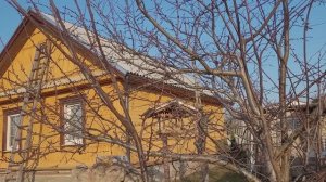 Оформил бревенчатые стены на кухне. Приготовил почти плов