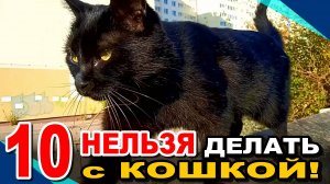 10 Вещей, Которые НЕЛЬЗЯ ДЕЛАТЬ С КОШКОЙ!