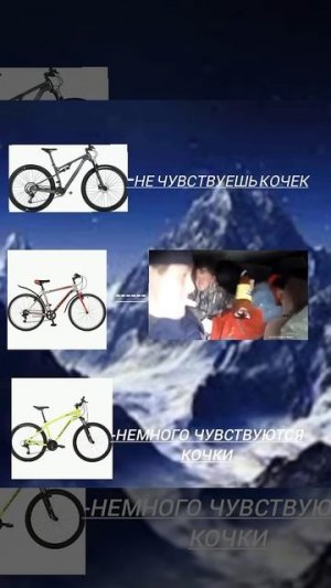 Тру стори про виды велосипедов #вело #велосипедный #велосипед #mtb #реки #рекомендации