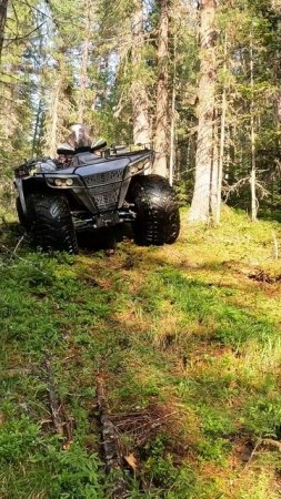 Вездеходы на шинах низкого давления с независимой подвеской