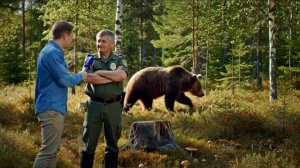 Что нужно сделать что бы пойти собирать ягоду и грибы #лесник #лес  #медведь #россия #сибирь #veo3
