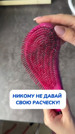 copy_3C6C27EB-B2A0-42CE-97B9-A80CE8F6302B