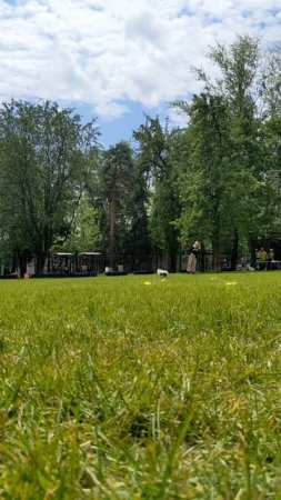 29.06.2025 🥏 "В Стиле Диска" - нарезка части выступлений Питч