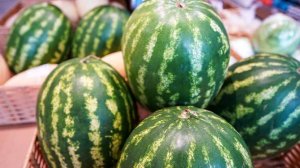 Диетолог предостерегла от употребления ранних арбузов