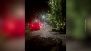 Зооволонтёры обнаружили живодёрню в частном секторе Ленинского района