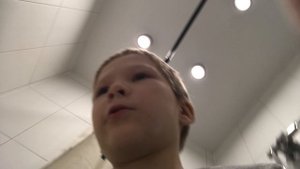 Я учу своего хомяка плавать
