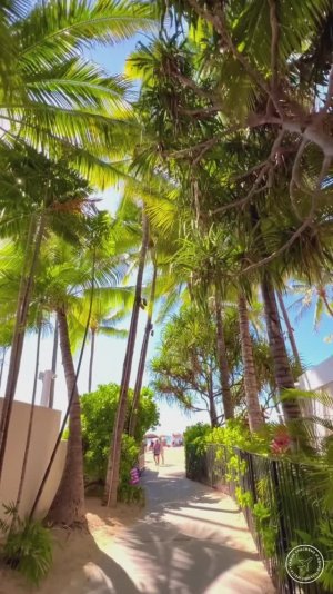 Вайкики. Остров Оаху, Гавайи🌴