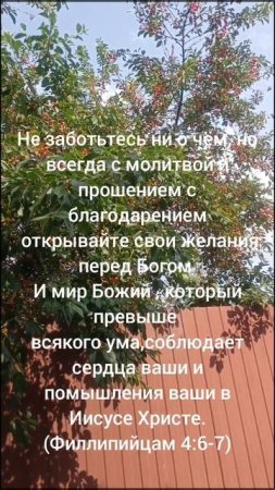 в молитве и с благодарением перед Богом 🙏🙏🙏