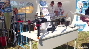 Пахарь 2025, Муниципальный округ, г. Назарово.