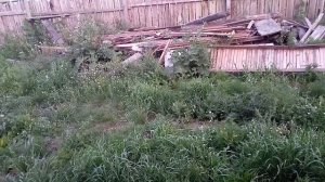 баня ..вонючие соседи