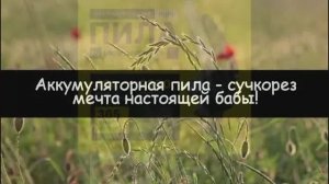 Сучкорез для бабы, как молоток для мужика!