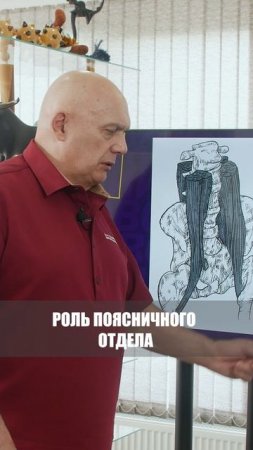 Тянет ногу — хотя болит спина? Узнайте почему в новом видео! #shorts #бубновский #кинезитерапия