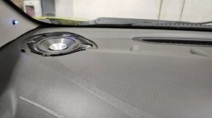 DL audio Piranha 100v2